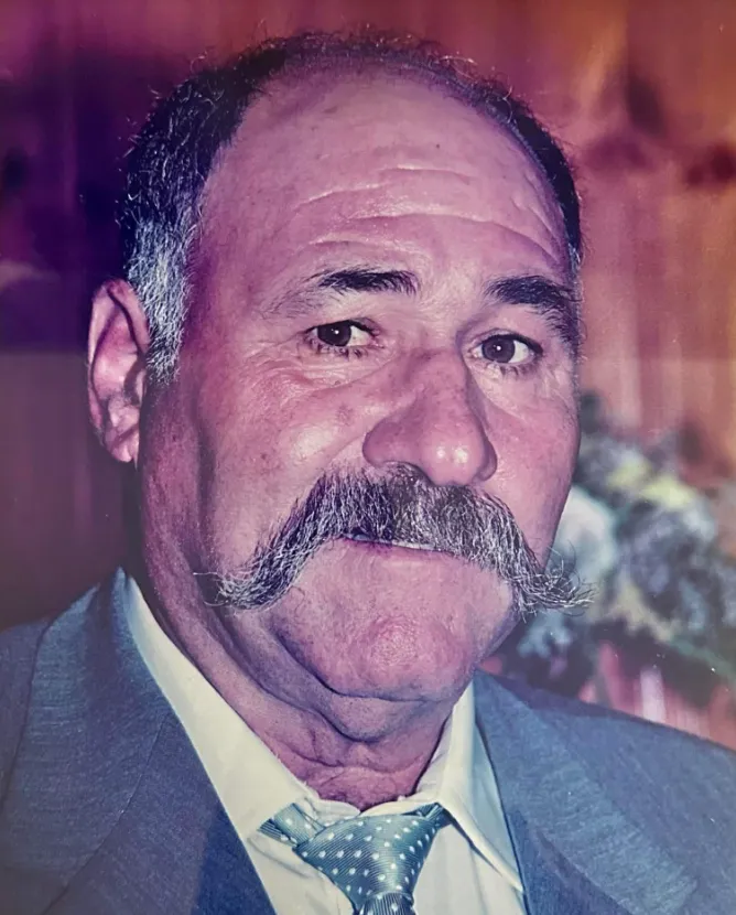 Μιχάλη Αγγελή Βρυώνη