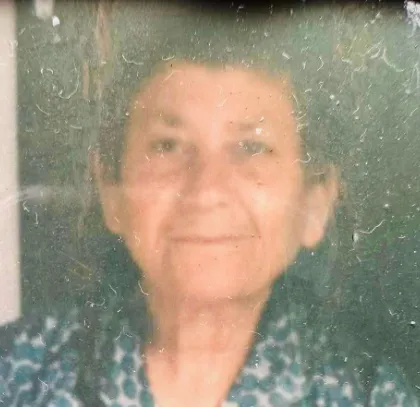 Παναγιώτας Α. Νικολή